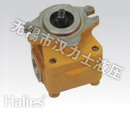 Ingranaggi pompa idraulica E320/AP-12